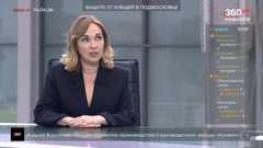 360° новости