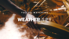 weatherspy