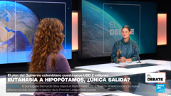 france 24 español