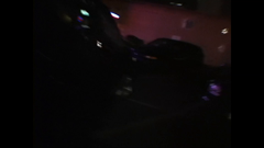 dog the bounty hunter