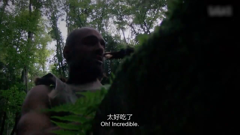 单挑荒野第一季