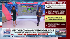 fox business network