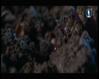 моя планета