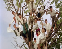 родное кино