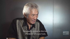 long beach television