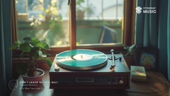 stingray greatest hits