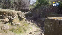 ช่อง travel tv