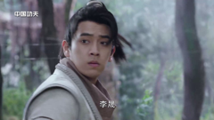 newtv中国功夫 2.5m1080