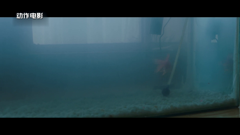 newtv动作电影 2.5m1080