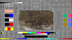 cctv7