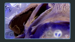 nbc 12 winston-salem nc