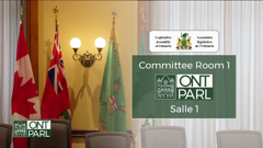 legislative assembly of ontario committees