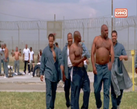 любимое кино