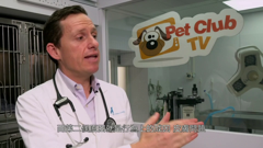 pet club tv