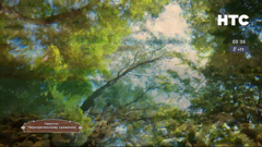 нтс севастополь