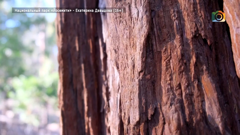 глазами туриста