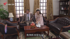 大湾区卫视高清