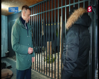 пятый канал