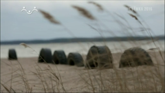 радость моя