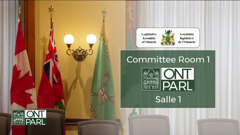 legislative assembly of ontario committees