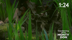 gardening with monty don