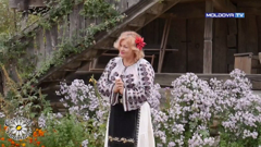 moldova tv