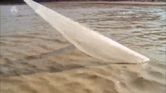 большая азия