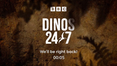 dinos 24/7