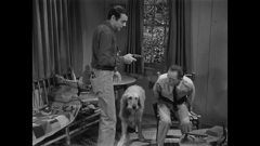 the andy griffith show