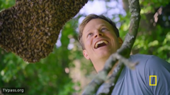 national geographic east