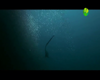 живая планета