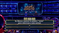 sony one competencias