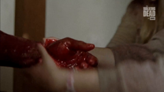 the walking dead by amc