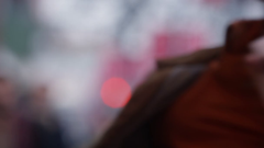 pluto tv crime drama