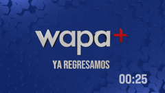 wapa plus