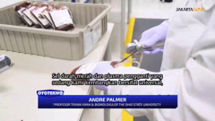 jakarta globe news channel