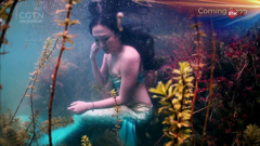 中國環球電視網紀錄