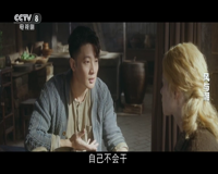 cctv-8电视剧