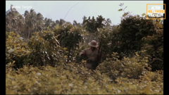 action hollywood movies