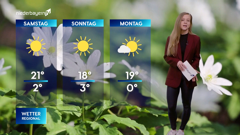 niederbayern tv landshut