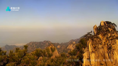 直播中国精编直播