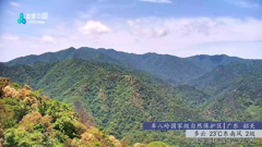 湖南张家界将军列队