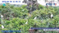 四川四姑娘山隆珠措