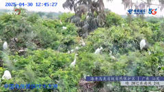 四川四姑娘山隆珠措