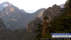 贵州省兴义市万峰林