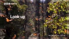 bbc earth