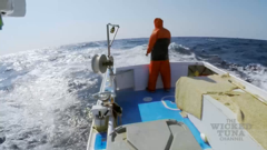 wicked tuna