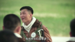 远去的飞鹰-影视剧