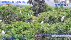 四川四姑娘山隆珠措