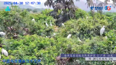 四川四姑娘山隆珠措